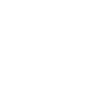 Videface logo